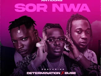 Anyidons Sor Nwa ft Determination Bube