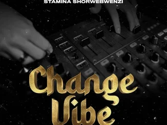 Chino Kidd Change Vibe ft Stamina Shorwebwenzi