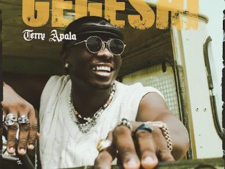 terry apala gegeshi